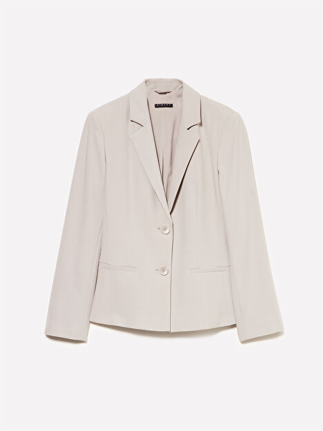 Resim Kadın Açık  Gri Astarlı İki Düğmeli Dar Kesim Klapa Yaka Ceket