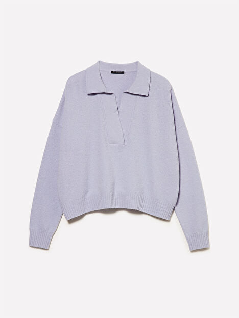 Resim Kadın Açık Lila Pamuk Karışımlı Polo Yaka Kazak